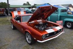 DSC_8131.jpg