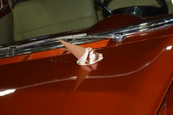 DSC_2758.jpg