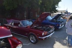 DSC_5016.jpg
