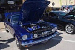 DSC_5178.jpg