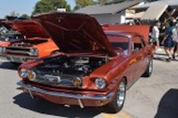 DSC_5216.jpg