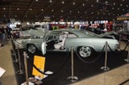 DSC_7393.jpg