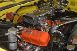 DSC_7419.jpg