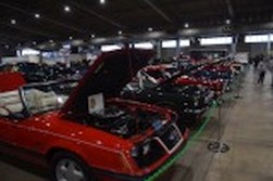 DSC_7438.jpg