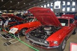 DSC_7441.jpg