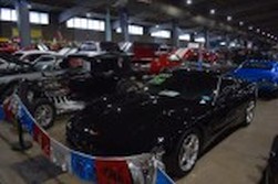 DSC_7442.jpg