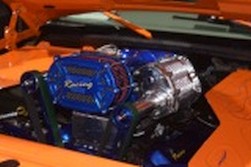 DSC_7447.jpg