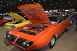 DSC_7456.jpg