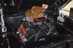 DSC_7477.jpg