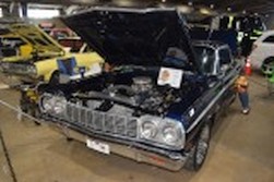 DSC_7482.jpg