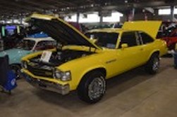 DSC_7527.jpg