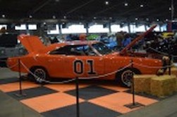 DSC_7529.jpg