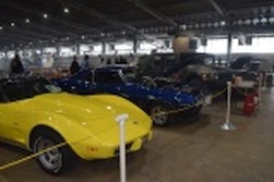 DSC_7547.jpg