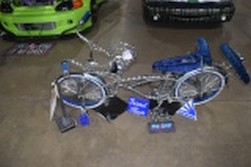 DSC_7552.jpg