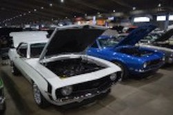 DSC_7585.jpg