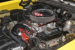 DSC_7590.jpg