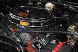 DSC_7593.jpg