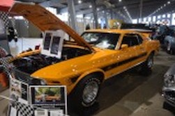 DSC_7596.jpg
