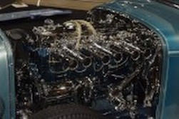 DSC_7698.jpg