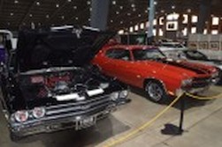 DSC_7804.jpg