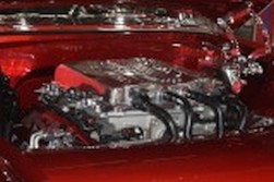 DSC_7817.jpg