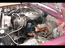 DSC04986.jpg