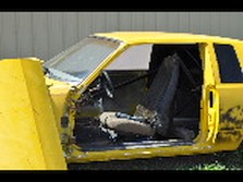 DSC_8133.jpg