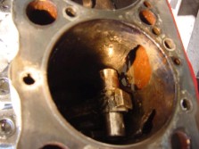 DSC01173.jpg