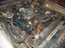 DSC03479.jpg
