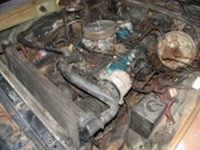 DSC03480.jpg
