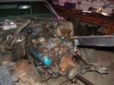 DSC03531.jpg