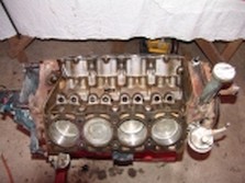 DSC04268.jpg