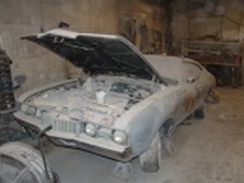 DSC05553.jpg