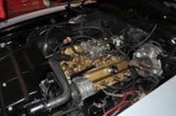 DSC_1555.jpg