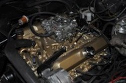 DSC_1556.jpg