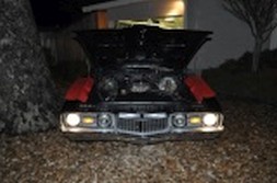 DSC_6627.jpg