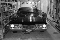 DSC_6633.jpg