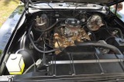 DSC_8939.jpg