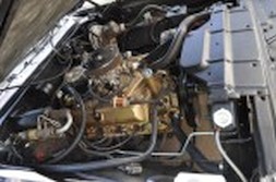 DSC_8942.jpg