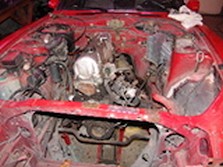 DSC00146.jpg