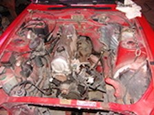 DSC00147.jpg