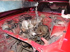 DSC00149.jpg