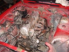 DSC00745.jpg