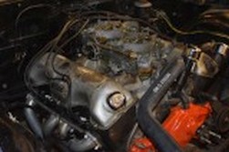 DSC_8975.jpg