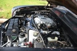 DSC_0856.jpg