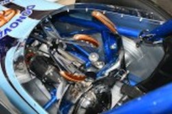 DSC_6508.JPG