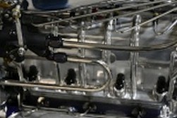 DSC_6510.JPG