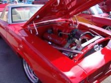 DSC02854.jpg
