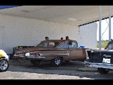 DSC_7237.jpg