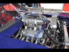 DSC_7485.jpg